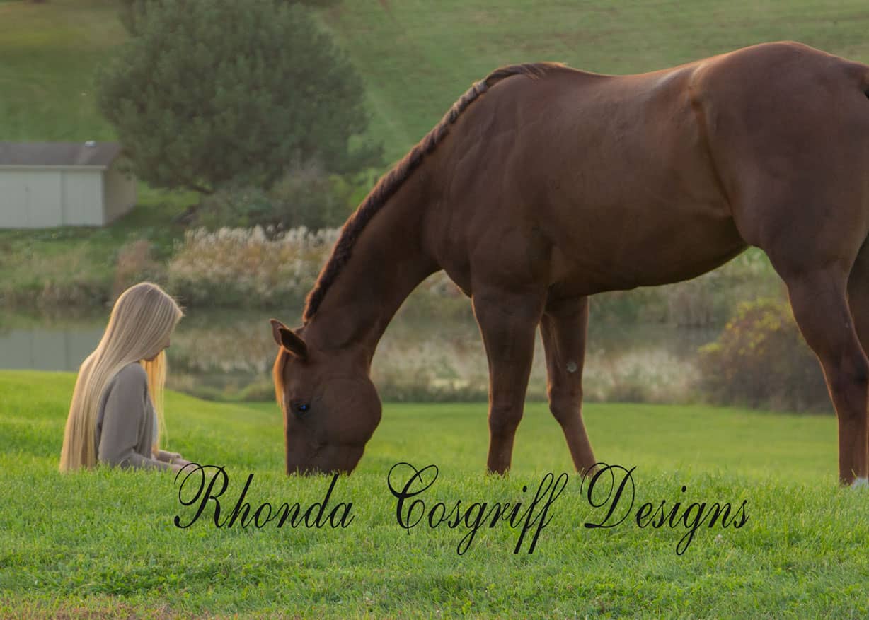 Equine photography by Rhonda Cosgriff Designs